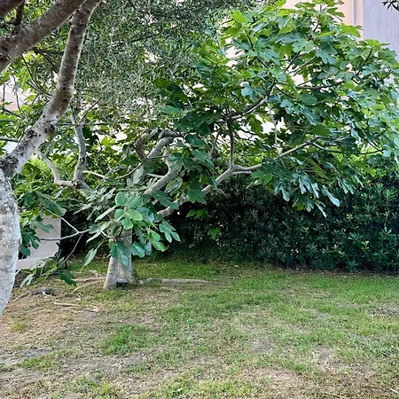 Evasion De Reve A Casa Nina Semesterbostad Borgo (Corsica)