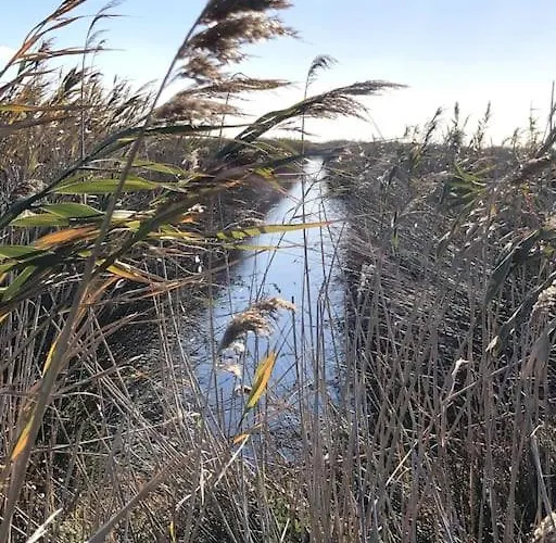 Evasion De Reve A Casa Nina