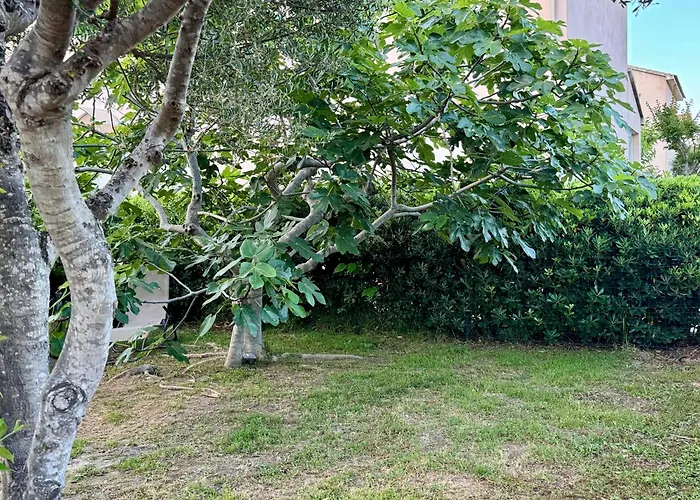 Evasion De Reve A Casa Nina Semesterbostad Borgo (Corsica)